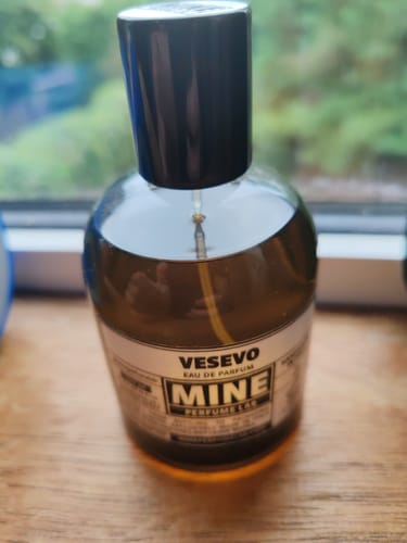 Customer photo review of VESEVO