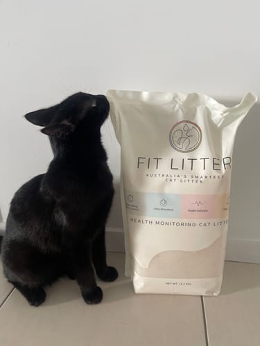 Customer photo review of 3 Month Supply - 2 Cats