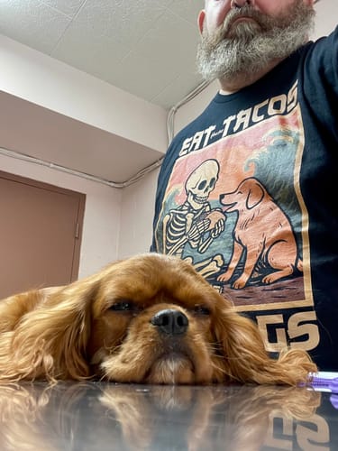 Customer photo review of Eat Tacos Pet Dogs Anime T-Shirt
