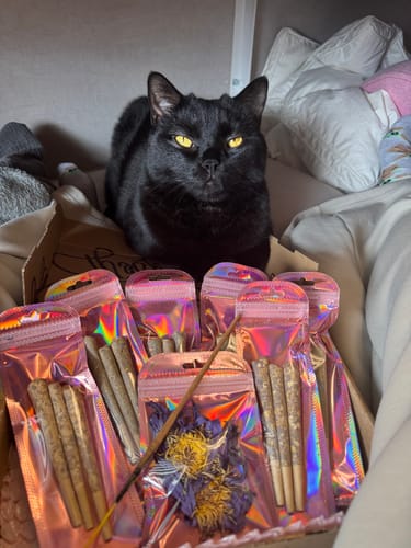 Customer photo review of Mint Inhale & Exhale Mists