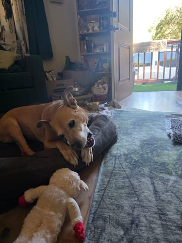 Customer photo review of Mystery Gift