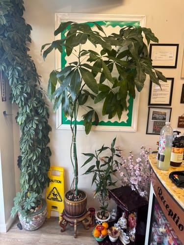 Toinette D. review of Sleeveless Hollow Pleated Split-Joint Round-neck Maxi Dresses image 1 out of 5