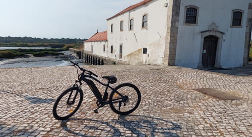 Customer photo review of Electric Mountain Bike Mopride 3