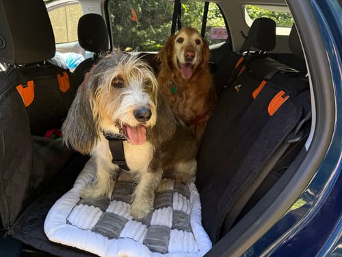 Customer photo review of RuffRover 2.0™ - Hard Bottom Dog Car Seat Protector + (FREE Dog Bed)