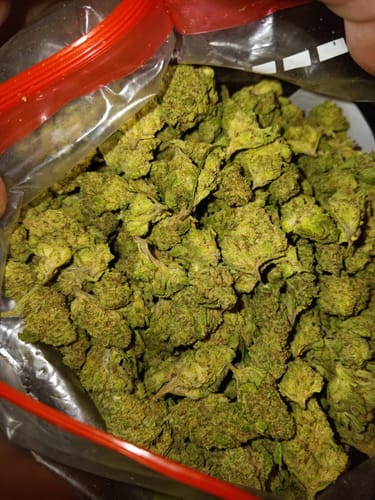 Customer photo review of 1 Gram Pre-Roll (Indica)