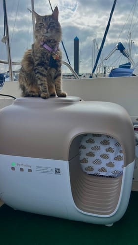 Customer photo review of Self-Cleaning Litter Box