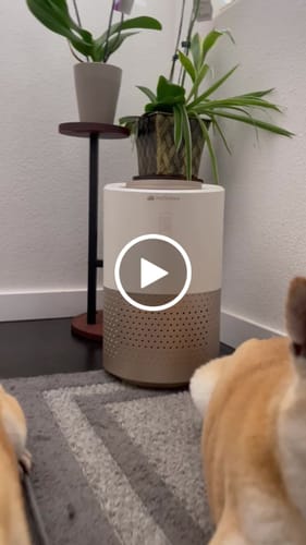 Customer video review of Pet Air Purifier