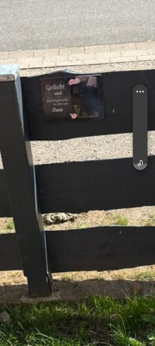Customer photo review of Hunde Gedenktafel mit Foto & Spruch (UV- & Wetterfest)