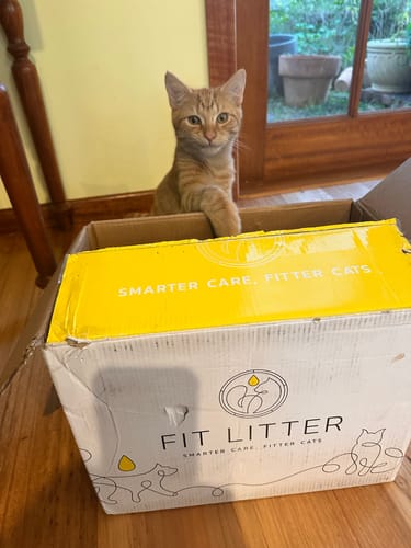 Customer photo review of 3 Month Supply - 2 Cats