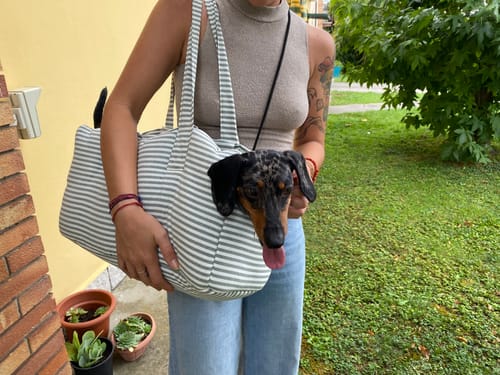 Customer photo review of Cerniera per Borsa