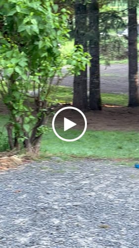 Customer video review of DA-1™ Daily All-in-One Complete Care