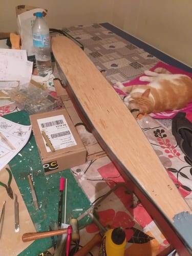 Reseña con foto de un cliente sobre Maqueta Barco USS Missouri (BB-63)
