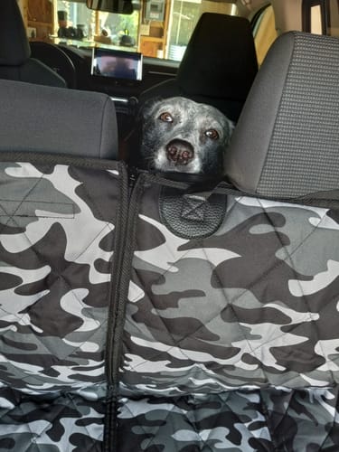 Customer photo review of SUV Cargo Liner for Fold Down Seats - Small