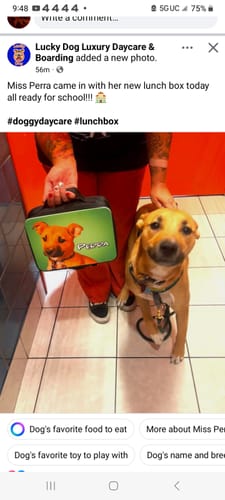 Customer photo review of Custom Pet Lunch Box