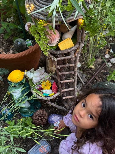 Customer photo review of Seizures - Dogs