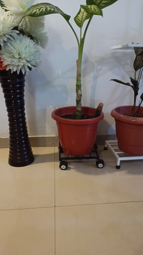 Customer photo review of United Crafts Rozy Wheel Pot Stands for Planters