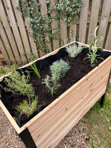 Customer photo review of Raised Garden Bed - 46cm x 92cm x 76cm