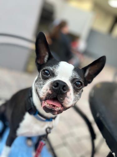 Customer photo review of DA-1™ Daily All-in-One Complete Care