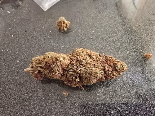 Michael K. review of Happy Weedz(CALI) THC-A Blüten image 1 out of 1
