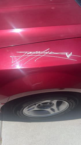 Customer photo review of Custom Signature Decal