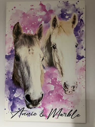 undefined review of Your Horse as Watercolor Portrait image 1 out of 1
