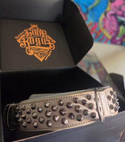 Customer photo review of Hand Made Leather Dog Collar - Ruthless Grey & Black (Wide Fit)