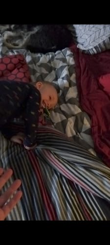 Customer photo review of Cheeky Dinosaur U-Shaped Sensory Toothbrush with Replacement Head