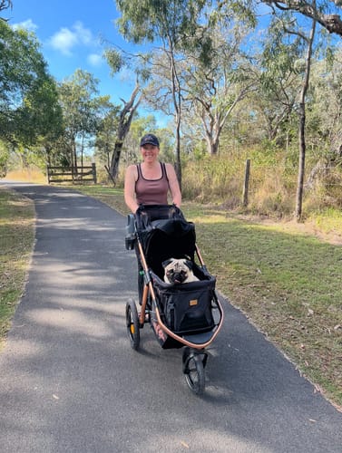 Customer photo review of Sports Large Pet Stroller