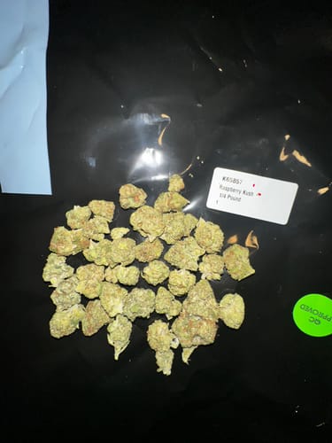 Customer photo review of Shipping Protection by Route