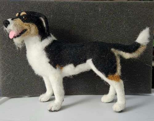 Joanne T. review of Felting Needles image 1 out of 2