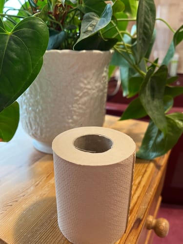 Customer photo review of Unbleached Bamboo Toilet Paper
