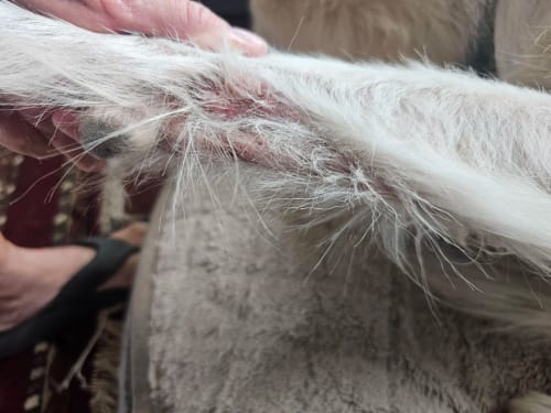 Customer photo review of DA-1™ Daily All-in-One Complete Care