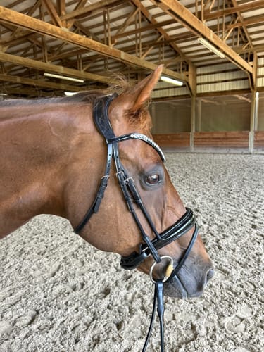 Customer photo review of Solo - Harmony (Black)