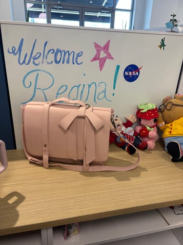 Customer photo review of Summer Garden Romance Bow Briefcase