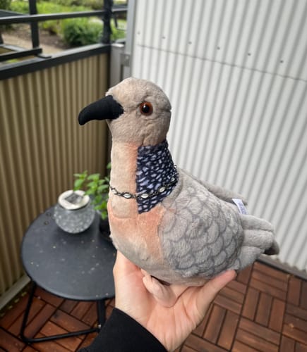 Customer photo review of Spotted Dove Bird Soft Stuffed Plush Toy