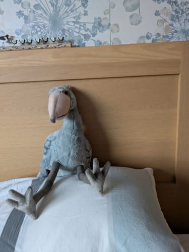 Customer photo review of Shoebill Stork Bird Soft Stuffed Plush Toy