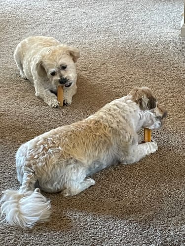 Customer photo review of Pumpkin Yak Chews