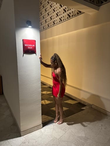 Customer photo review of Hourglass Mesh Contrast Dress