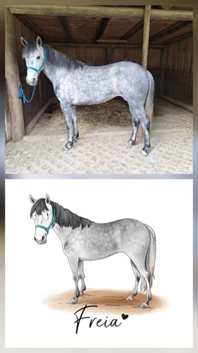Customer photo review of mrs. RIDE® Solo Star