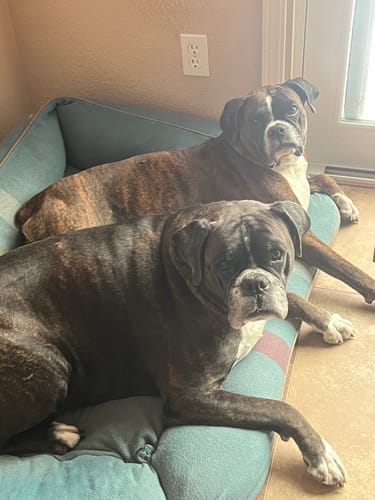 Customer photo review of Sea Salt