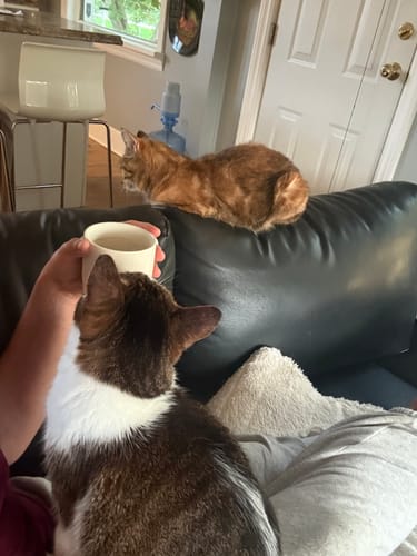 Customer photo review of Mushroom Coffee