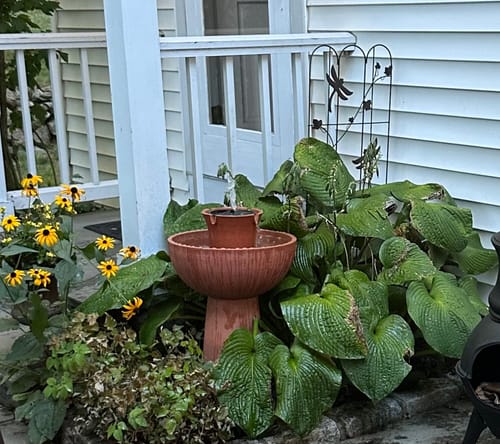 Customer photo review of Alba Cordless Fountain