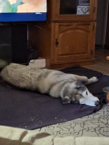 Customer photo review of Freedom Joint Drops