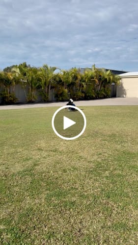 Customer video review of Herding Ball
