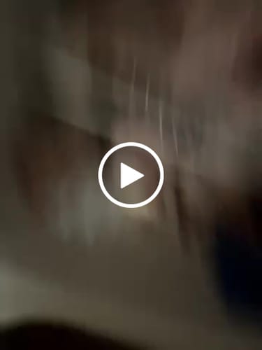 Customer video review of Halal Meat Plan 4
