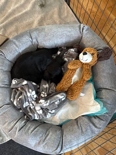 Customer photo review of CalmBed överdrag