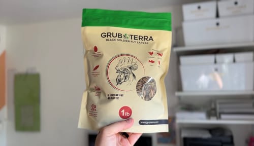 Customer photo review of GrubTerra Dried Larvae Sample FREE