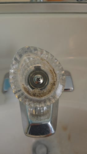 Customer photo review of Bathroom Concentrate 4x