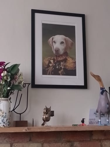 Customer photo review of The General - Custom Vintage Pet Portrait