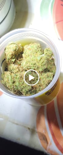 Customer video review of Dutch Treat